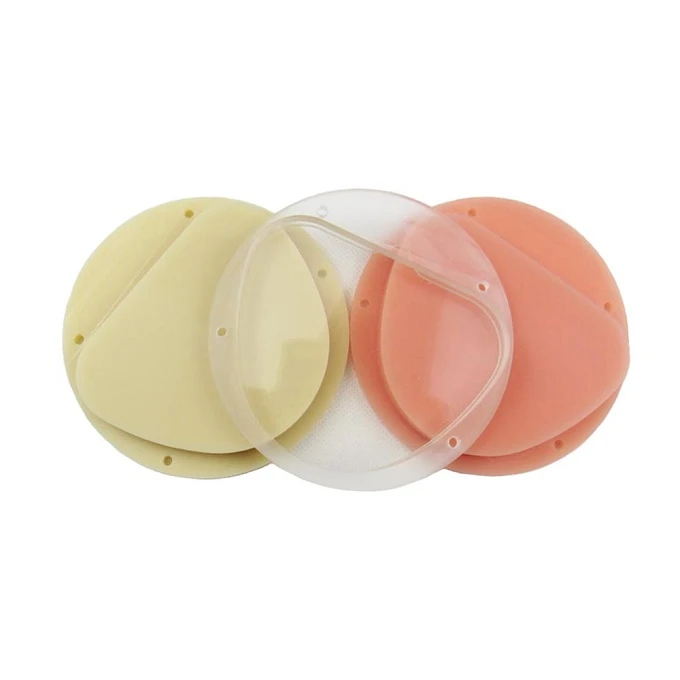 Full Denture Material PMMA Blocks Dental Lab Cad Cam Dental PMMA Discs